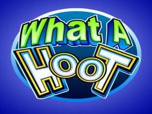 What A Hoot screenshot