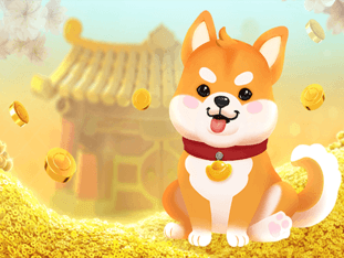 Win Win Won screenshot